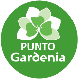 Punto Gardenia